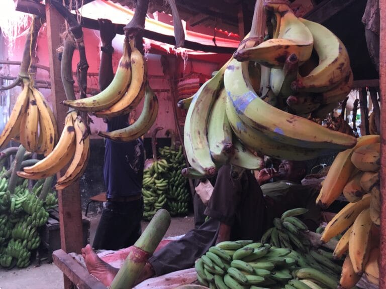 Scopri di più sull'articolo Storia e cucina di Zanzibar, l’isola delle spezie