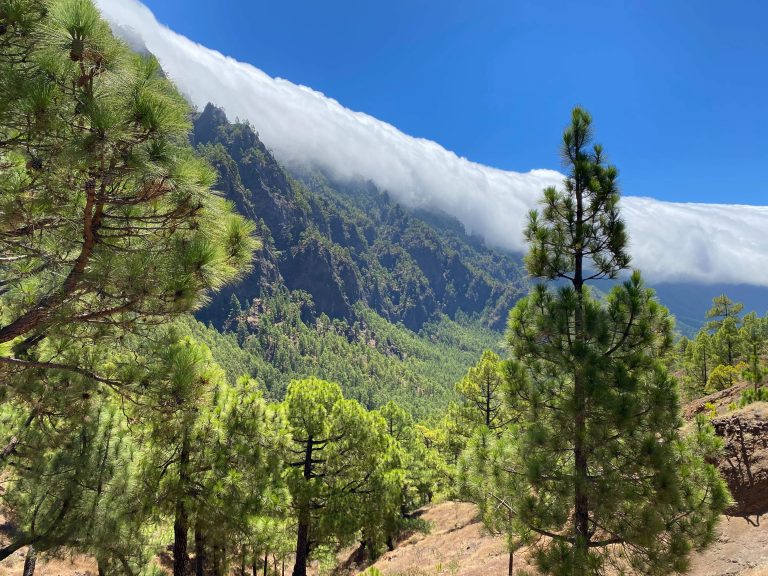 Scopri di più sull'articolo Viaggio a La Palma: tutto quello che devi sapere