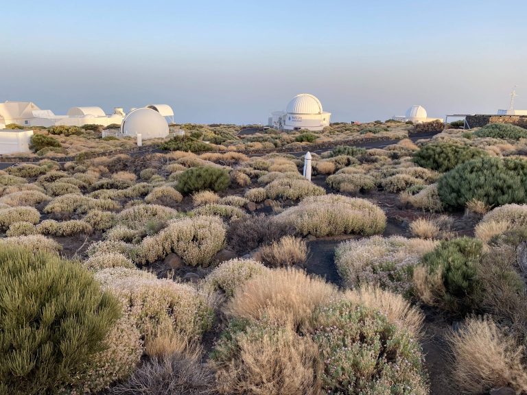 Scopri di più sull'articolo Tenerife tutto quello che devi sapere