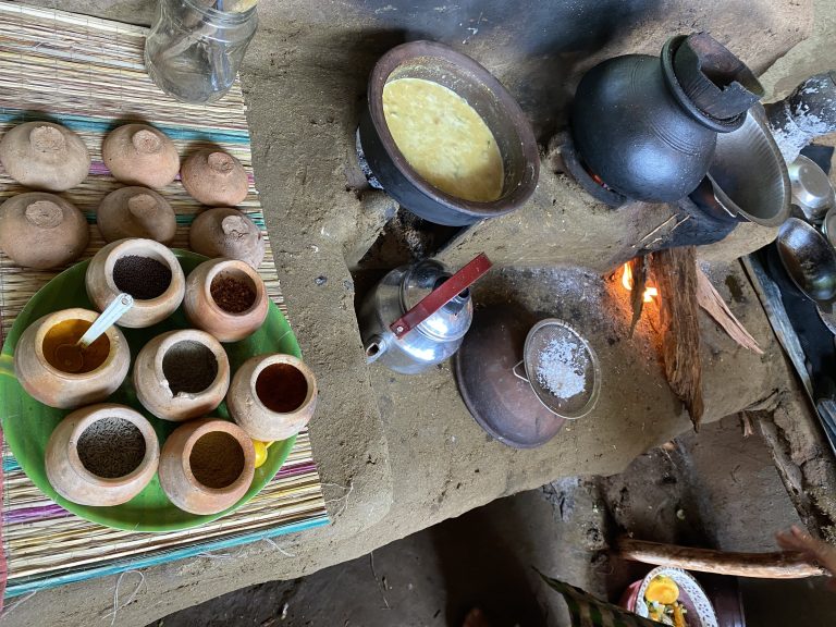 Scopri di più sull'articolo 11 Esperienze autentiche da vivere in Sri Lanka