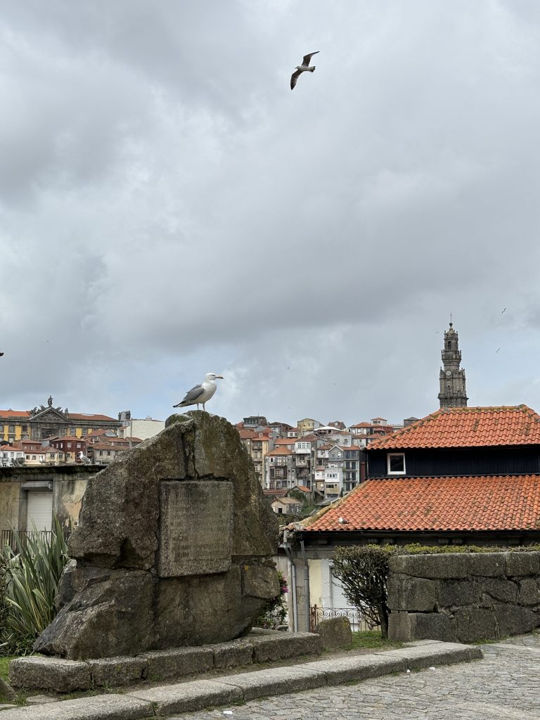 cosa vedere a Porto in 2 giorni
