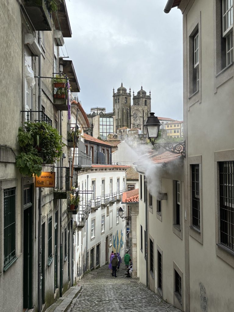 cosa vedere a Porto in 2 giorni