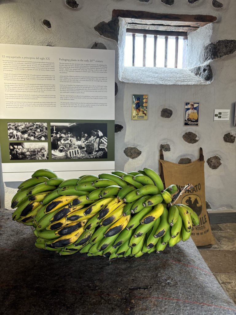 Casa Museo del Platano Tenerife