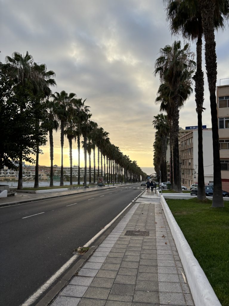 Noleggiare un’auto a Tenerife