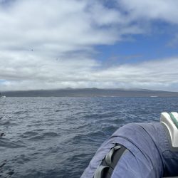 Itinerario di 10 giorni in Ecuador: tappe e consigli