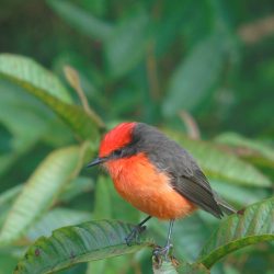 Viaggio in Ecuador: tutto quello che devi sapere