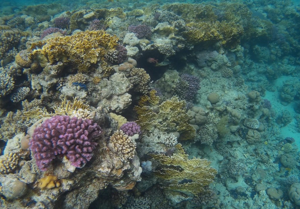soggiorno mare in Egitto