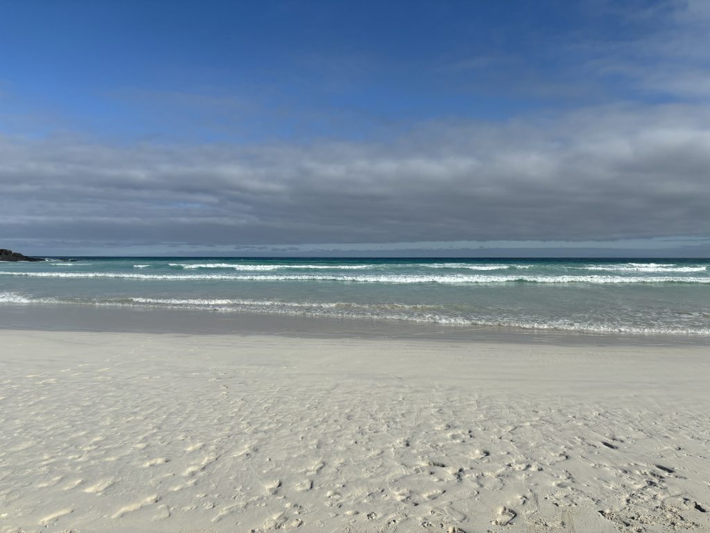 Tortuga Bay Isla Santa Cruz