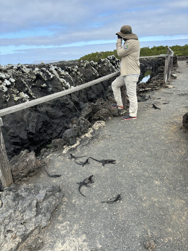 Regole Isole Galapagos
