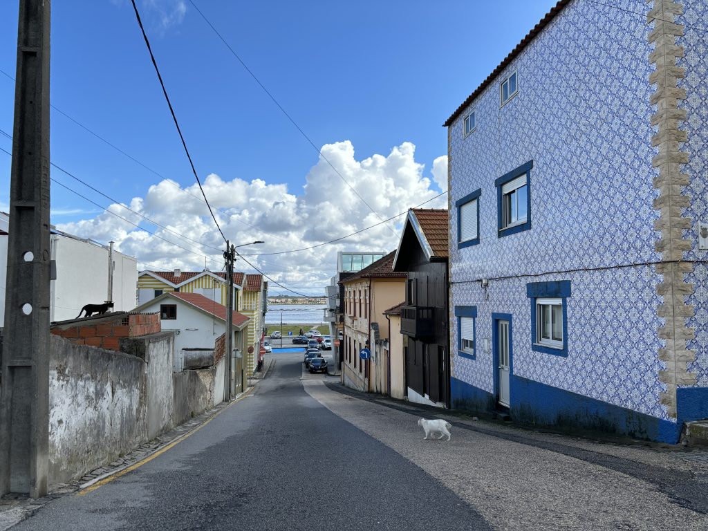 Costa Nova 