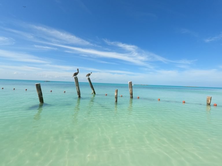 Scopri di più sull'articolo Le 8 migliori escursioni da Cancún in giornata