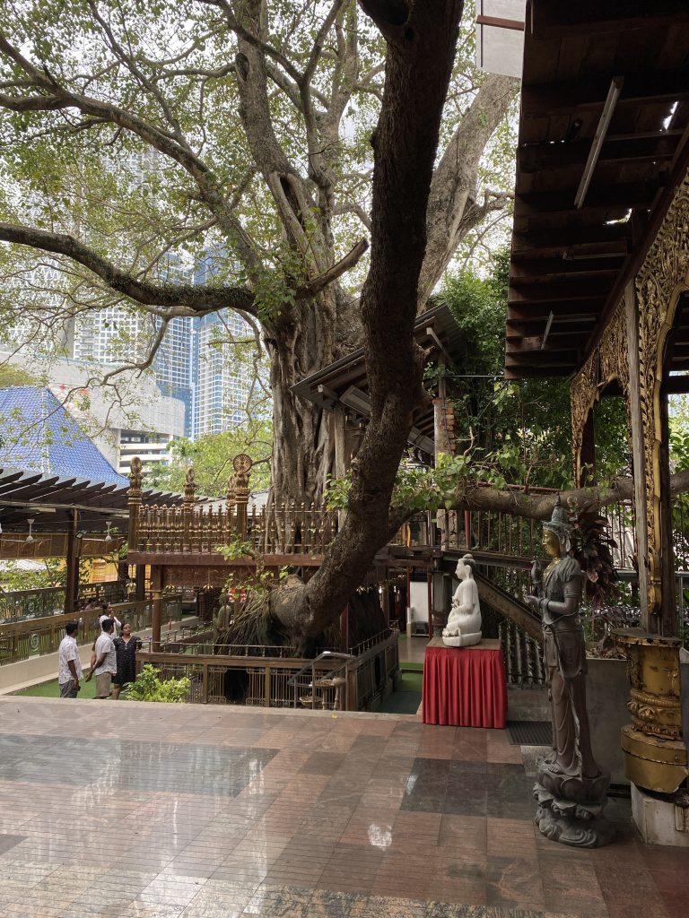 cosa vedere a Colombo