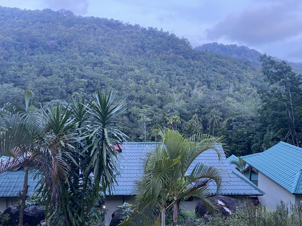 viaggio in Malesia