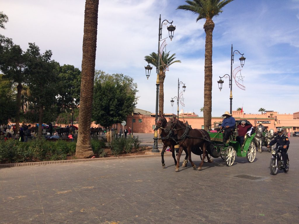 guidare in Marocco