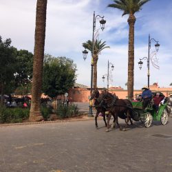 Noleggiare un’auto in Marocco: 13 cose da sapere