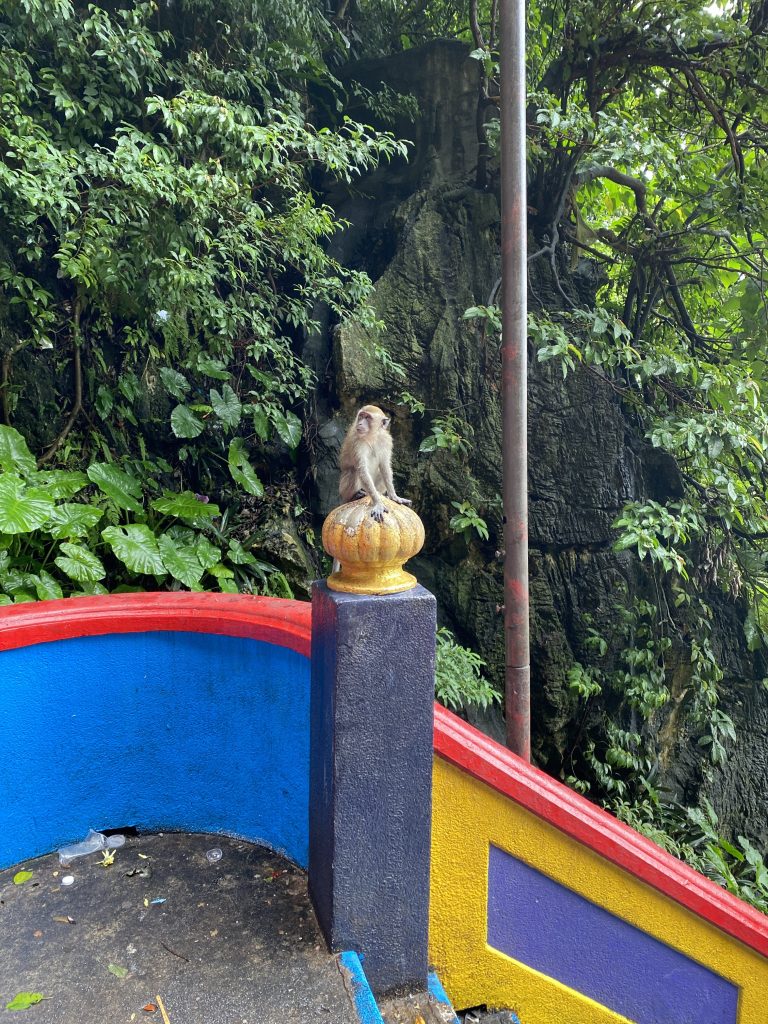scimmia Batu Caves