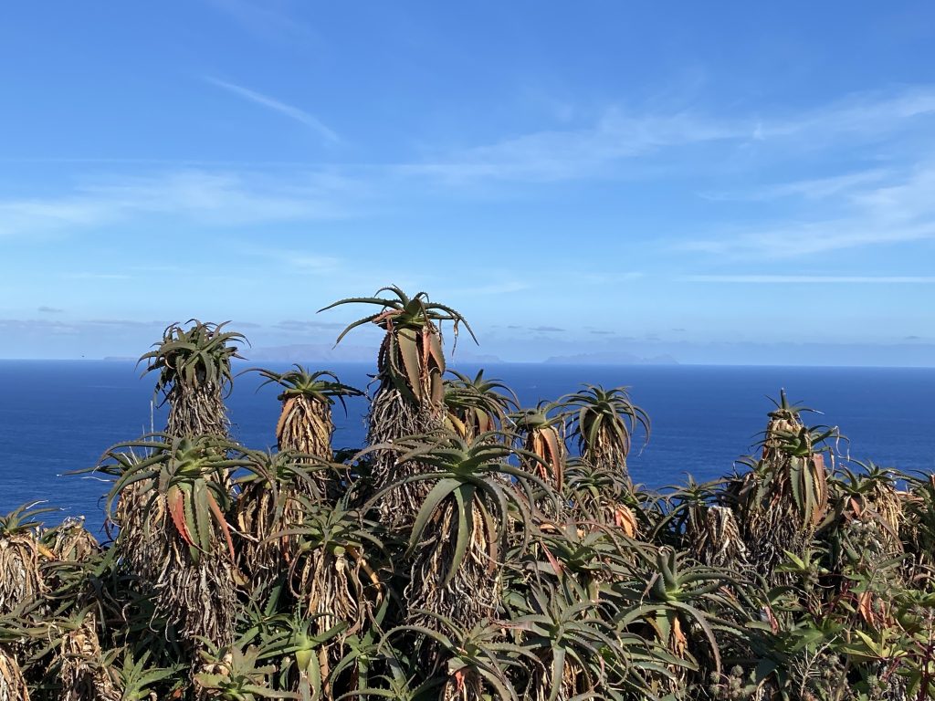 Madeira