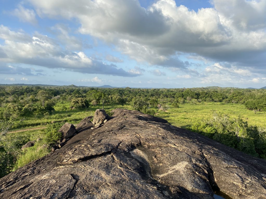 parchi nazionali dello Sri Lanka
