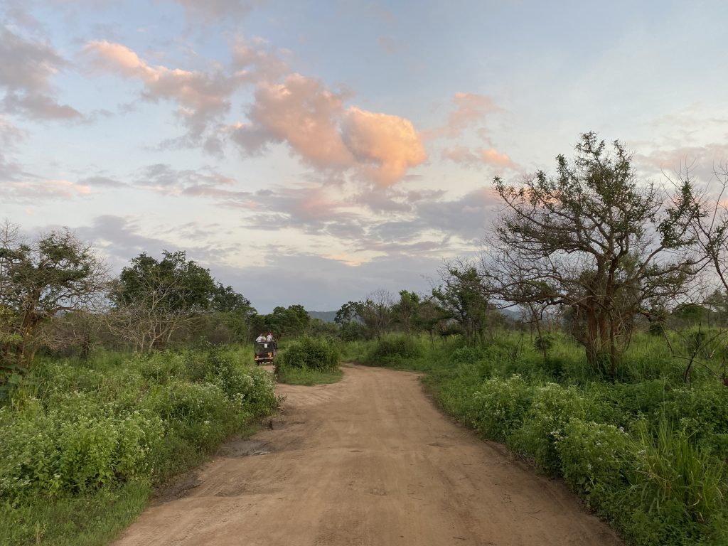 safari in Sri Lanka