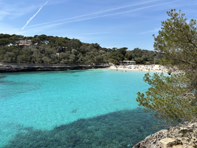 Scopri di più sull'articolo Vacanze a Maiorca: tutto quello che devi sapere