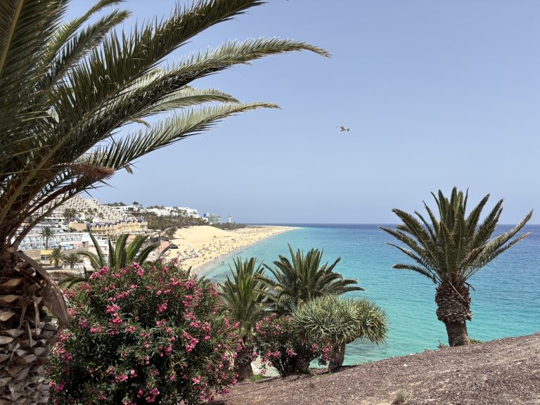 Scopri di più sull'articolo Dove dormire a Fuerteventura: le 5 migliori zone