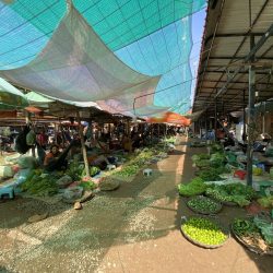 Viaggio in Cambogia: tutto quello che devi sapere