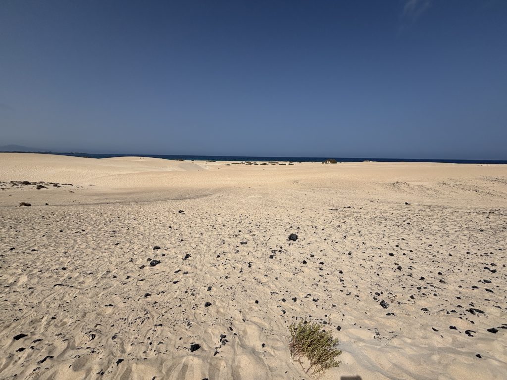 dune di Corralejo