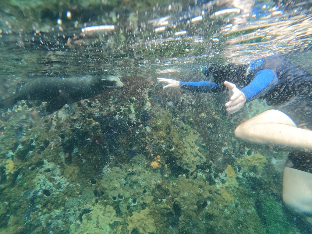 cosa vedere alle Isole Galapagos