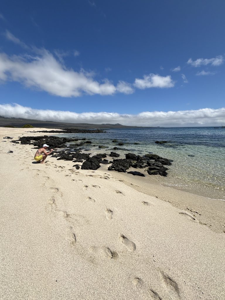 cosa vedere alle Isole Galapagos
