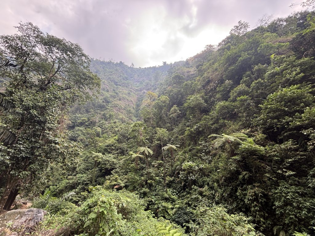 cosa vedere a Giava