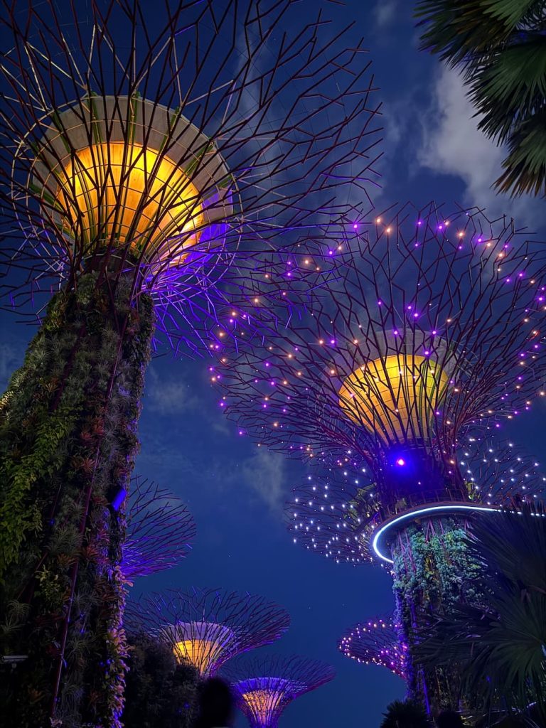 itinerario di 3 giorni a Singapore Supertree Grove