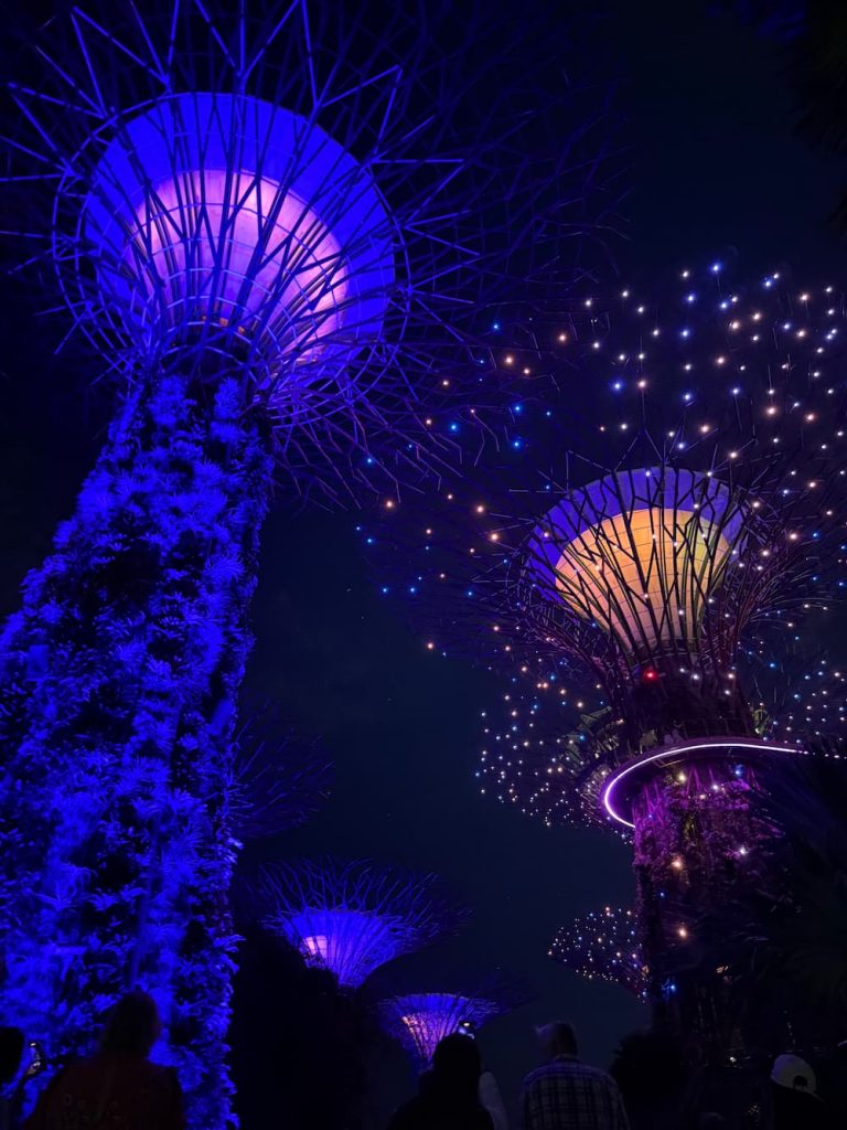 visitare Singapore Supertrees