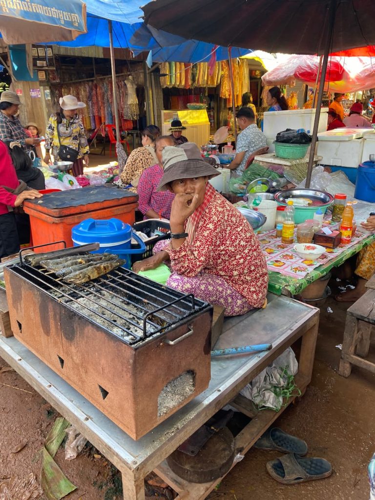 viaggio in Asia