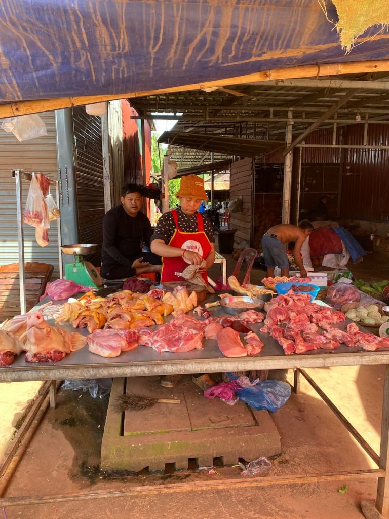 viaggio in Asia