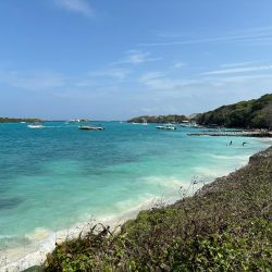 Escursione alle Isole del Rosario: tutto quello che devi sapere