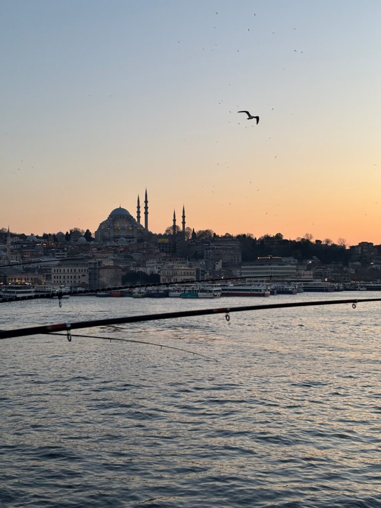 cosa vedere a Istanbul
