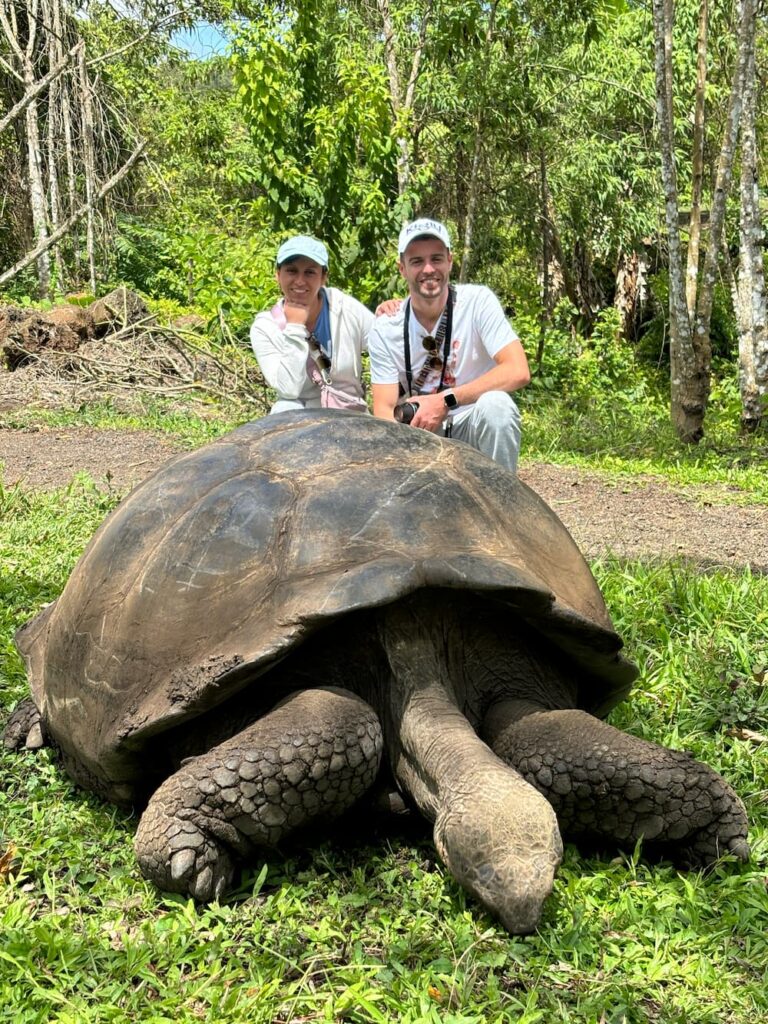 Galapagos tartaruga gigante